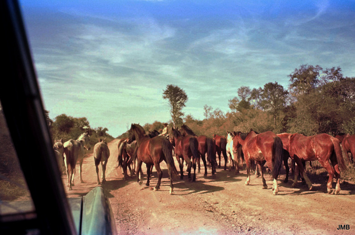 AÑO 1976 - COLOR - VIDA CAMPESINA EN PARAGUAY (JOSÉ MARÍA BLANCH)